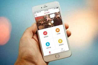 天呈集团旗下新天呈 重庆网络传媒App开发与互联网信息服务