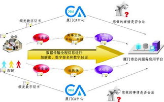 信息集团发挥信息化优势 打造惠民互联网信息服务产品