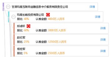 甘肃玛雅互联网金融信息中介服务 数字化时代下的信息桥梁