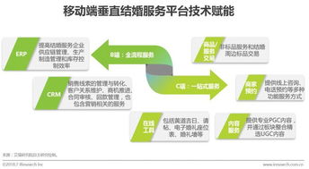 中国垂直结婚服务市场 移动互联网赋能下的创新与发展